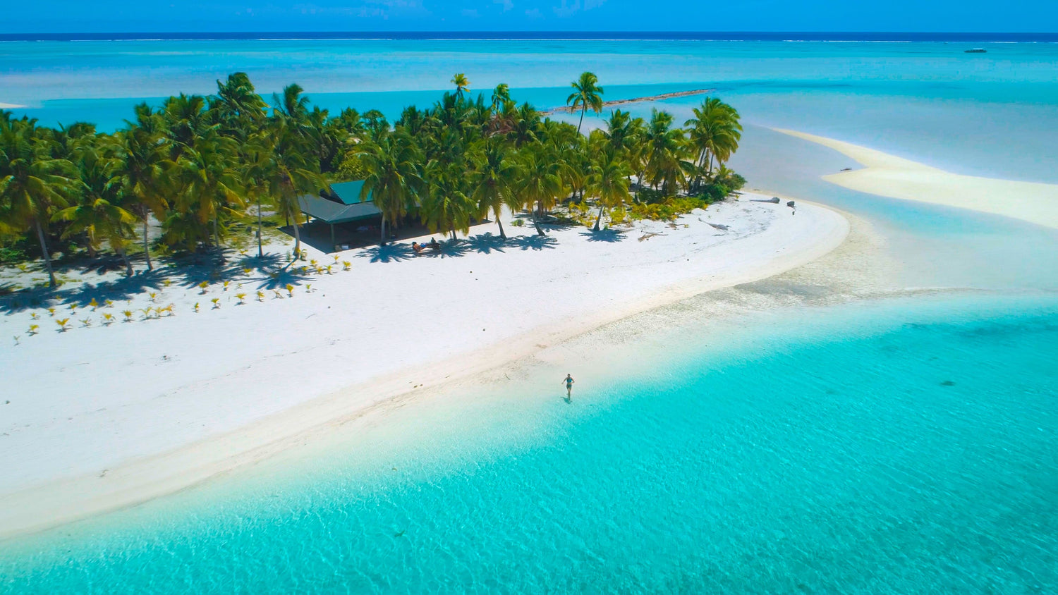 Aerial shot of a woman on vacation running down the white sand beach and diving into a turquoise ocean, One Foot Island, ook Islands.