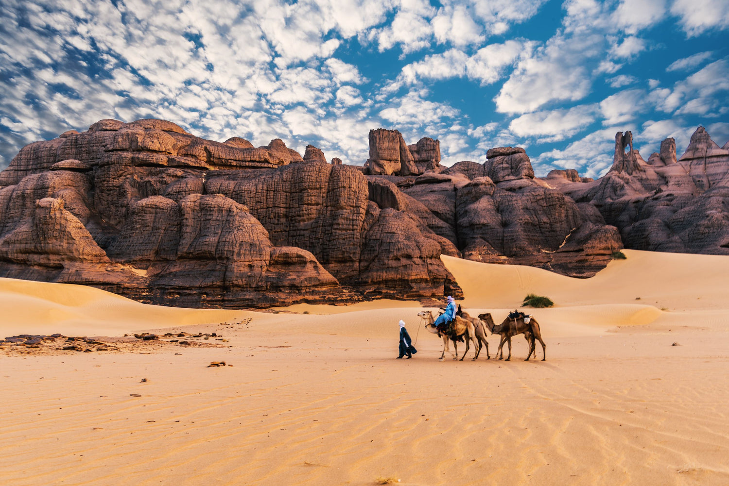 Camel caravan in a desert landscape in Algeria with rocky formations and blue sky.