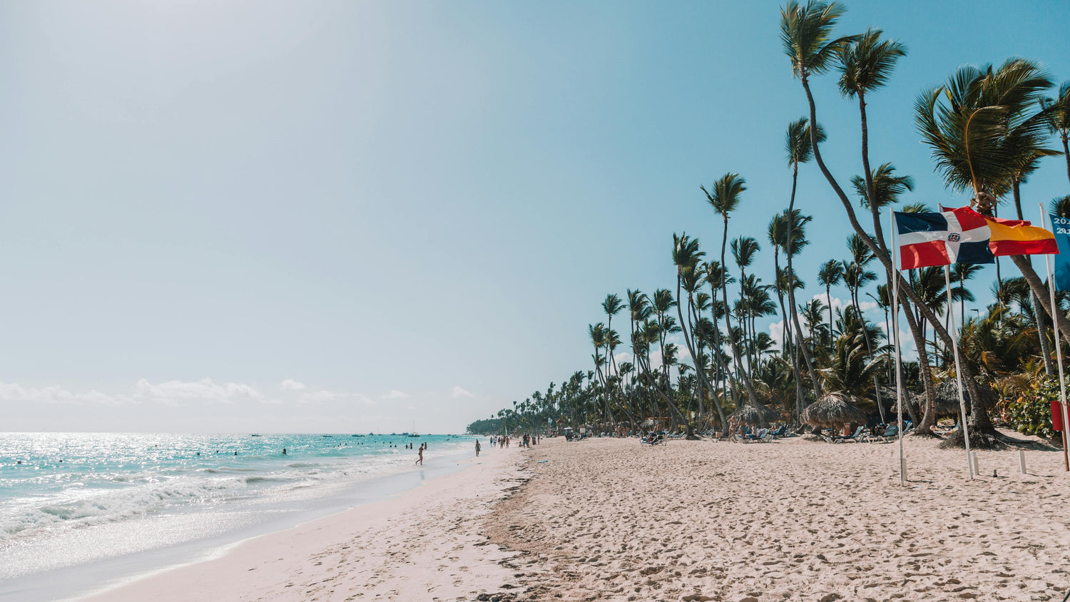 Beach in the Dominican Republic
with palm trees and flags on a clear day