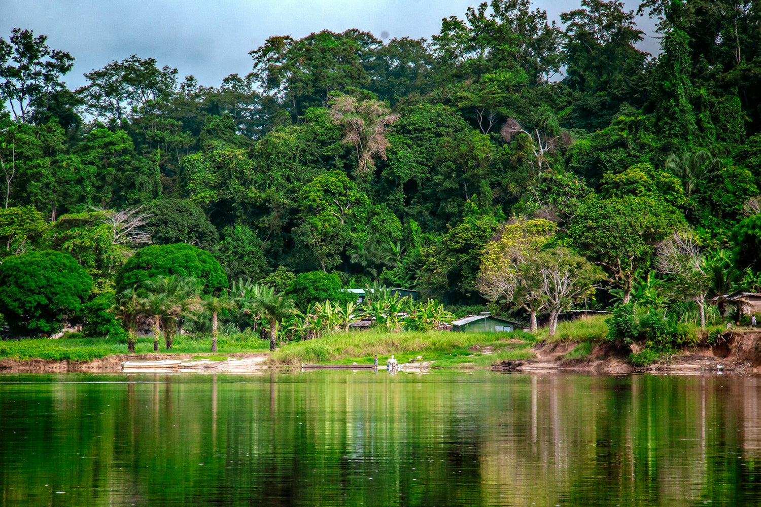 A lush green tropical forest shoreline with dense trees in Gabon, a calm reflective body of water in the foreground, and a small boat on the bank.