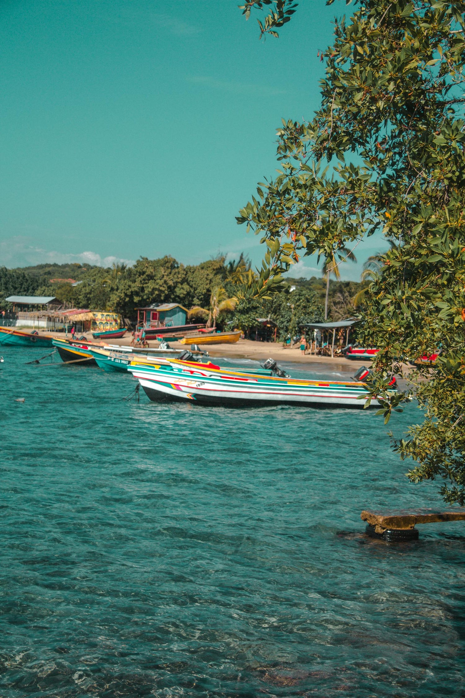 Colourful boats in Jamaica docked near a waterfront with trees and buildings in the background.