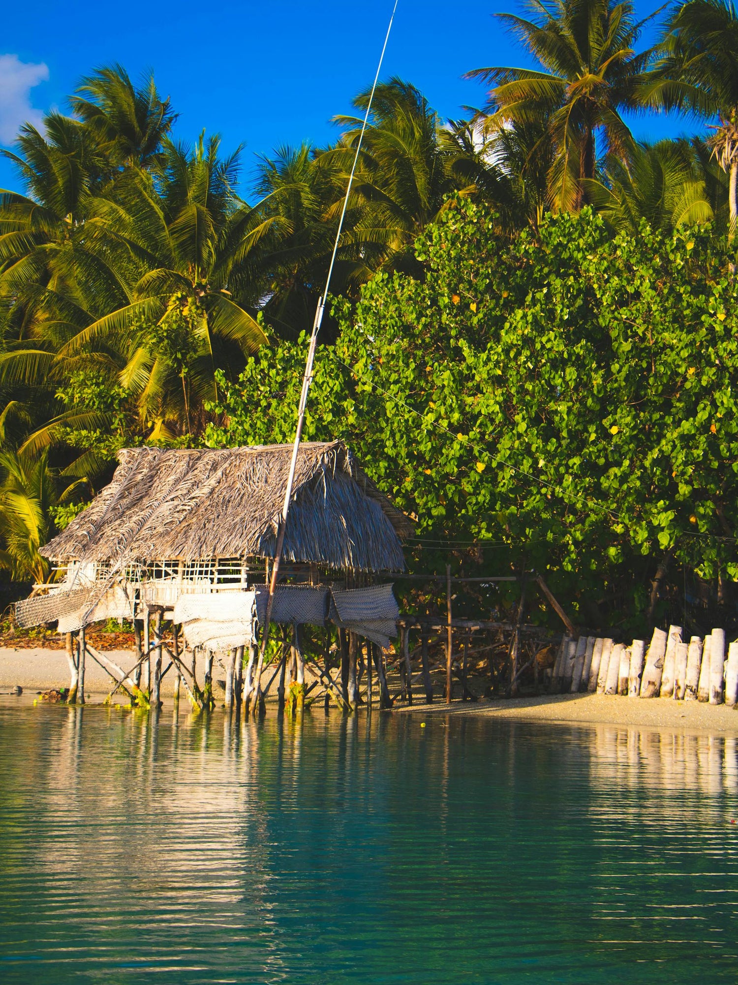 Traditional thatched-roof hut on stilts in Kiribati, by a body of water with lush greenery in the background.