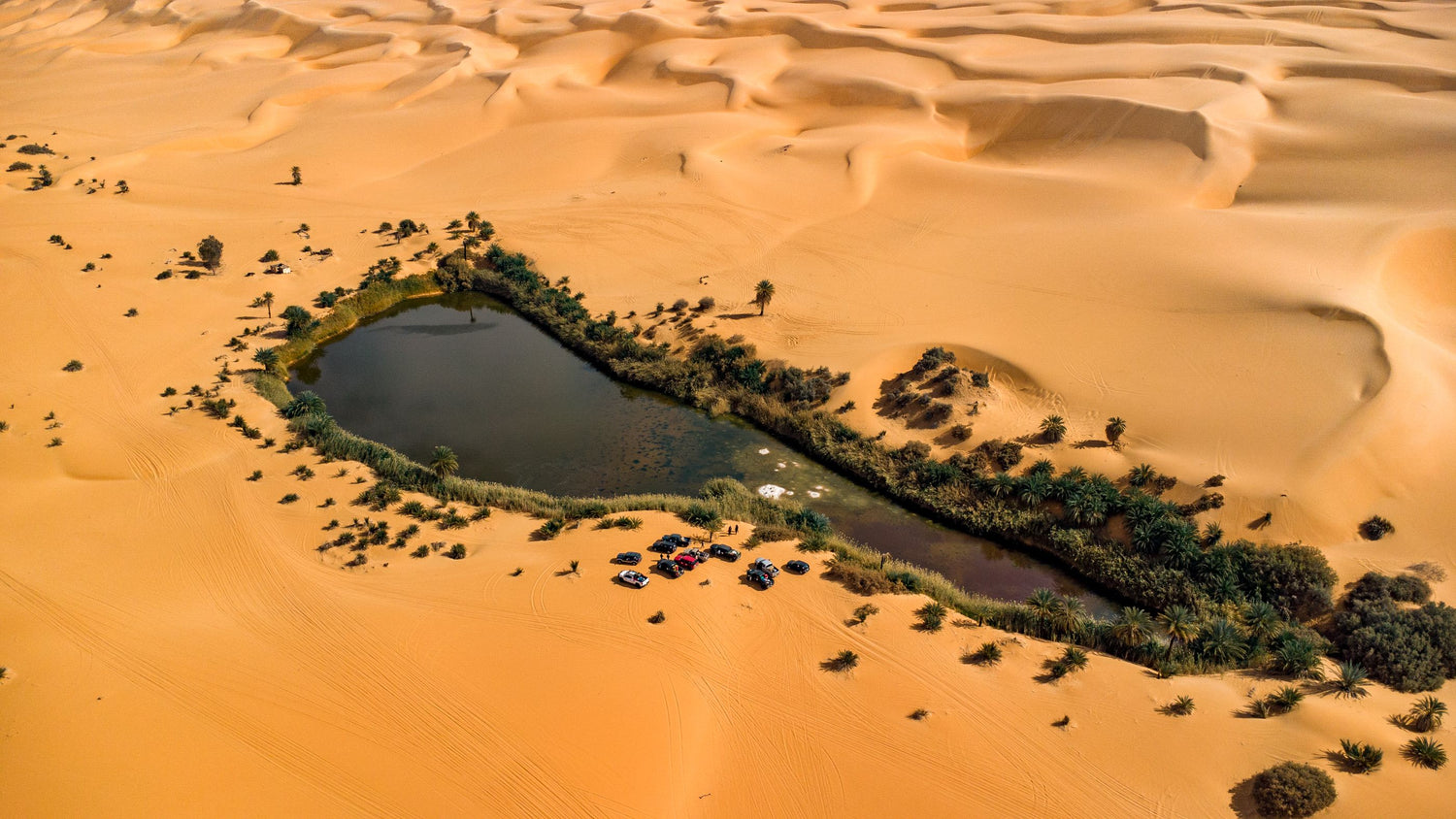 Aerial view of a desert landscape with rolling golden sand dunes surrounding a dark oasis pond and a strip of green vegetation.