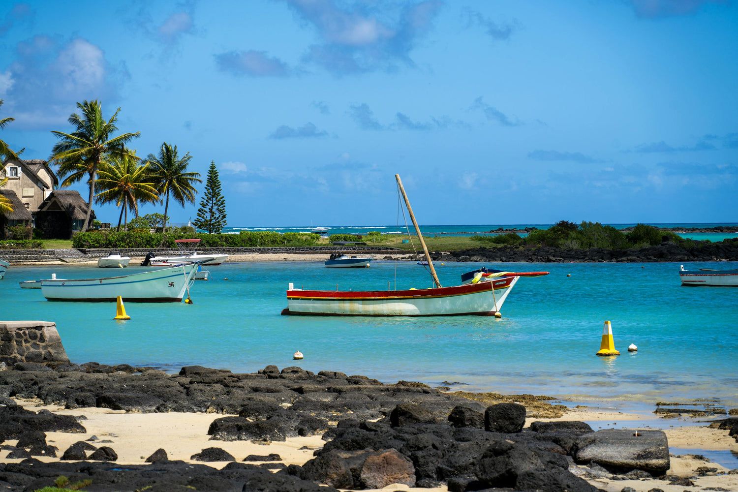 Boats on a beach in Mauritius with palm trees and clear blue sky