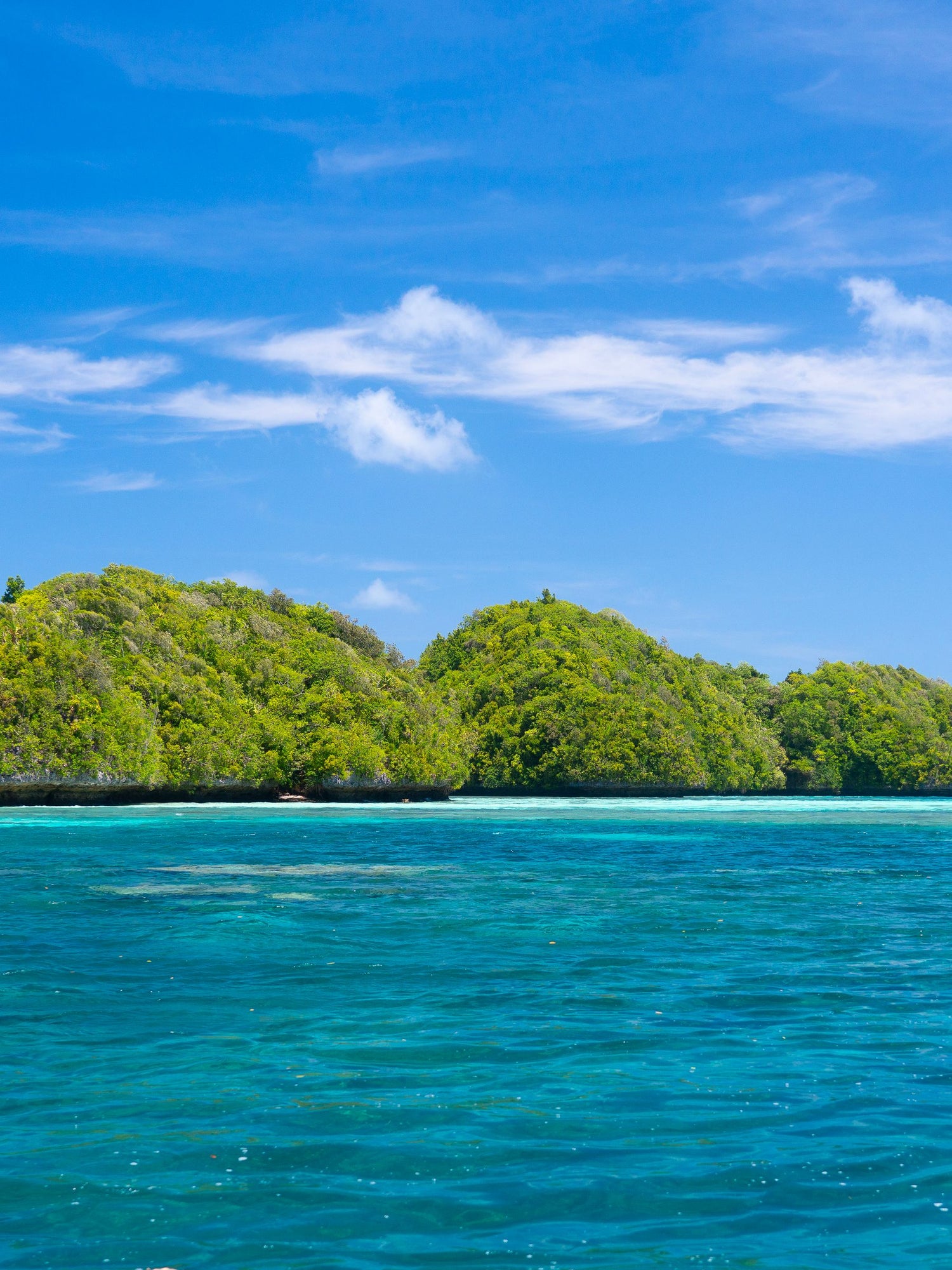 Island in Micronesia with lush greenery surrounded by clear blue water and sky