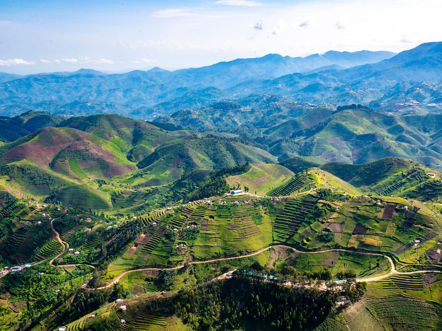 Aerial view of lush green terraced mountain hills in Rwanda under a pale blue sky, with layered blue mountains in the distance.