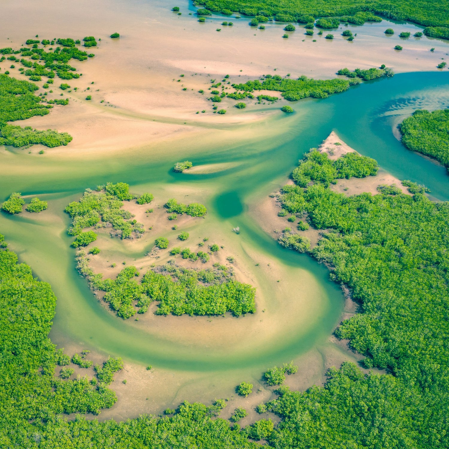 Aerial view of a winding turquoise river in Senegal cutting through green marshlands and sandy banks.