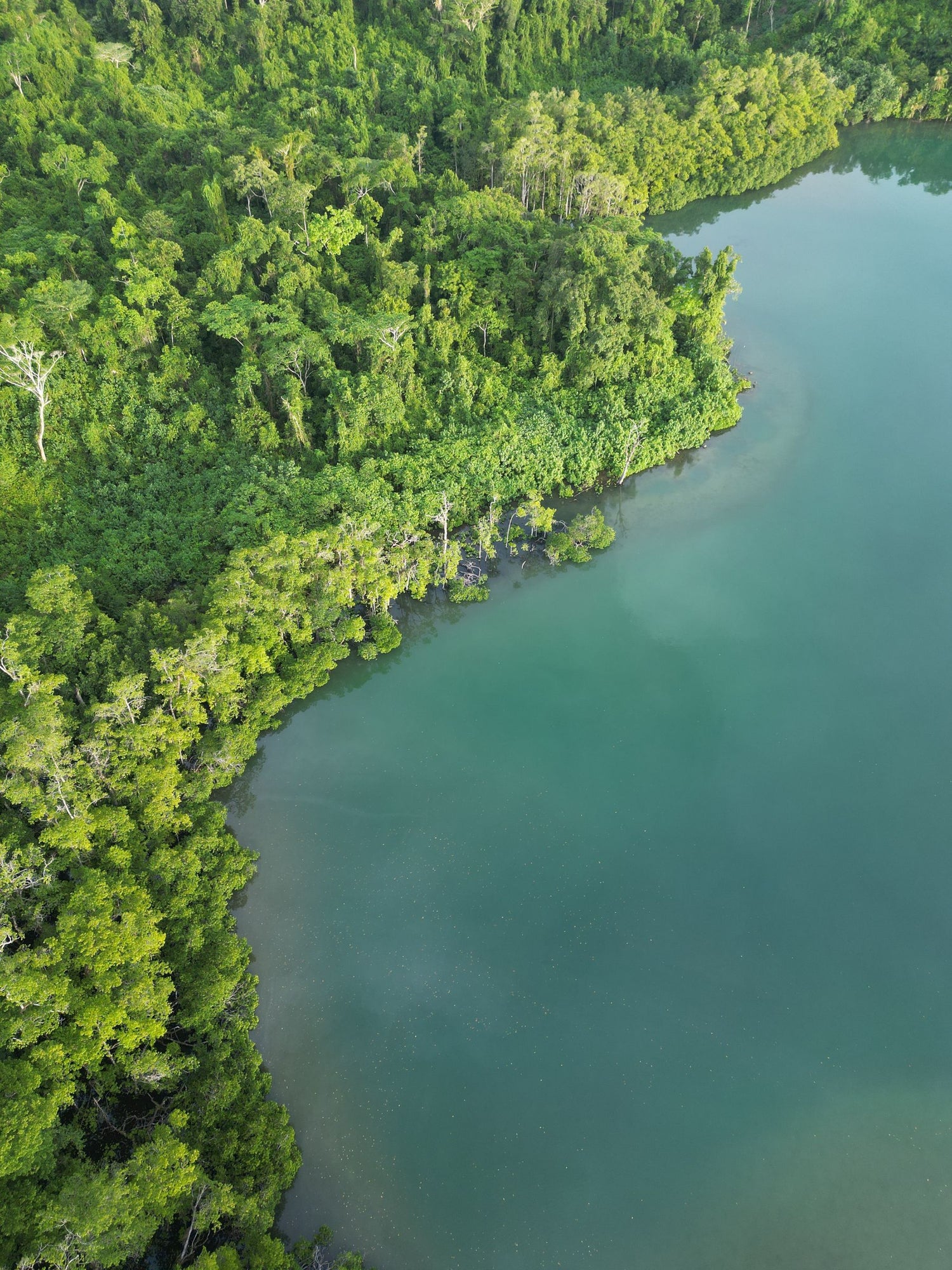 Aerial view of Solomon Islands featuring water surrounded by dense green forest