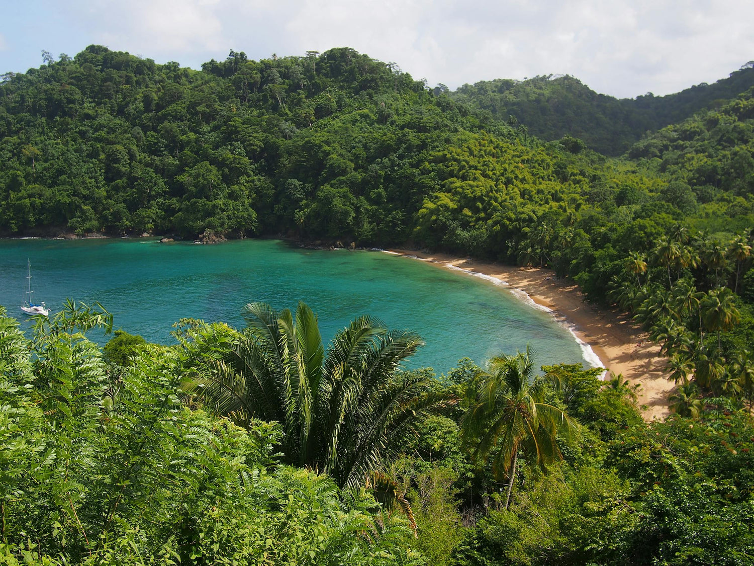 Tropical beach in Trinidad and Tobago surrounded by lush greenery and turquoise water
