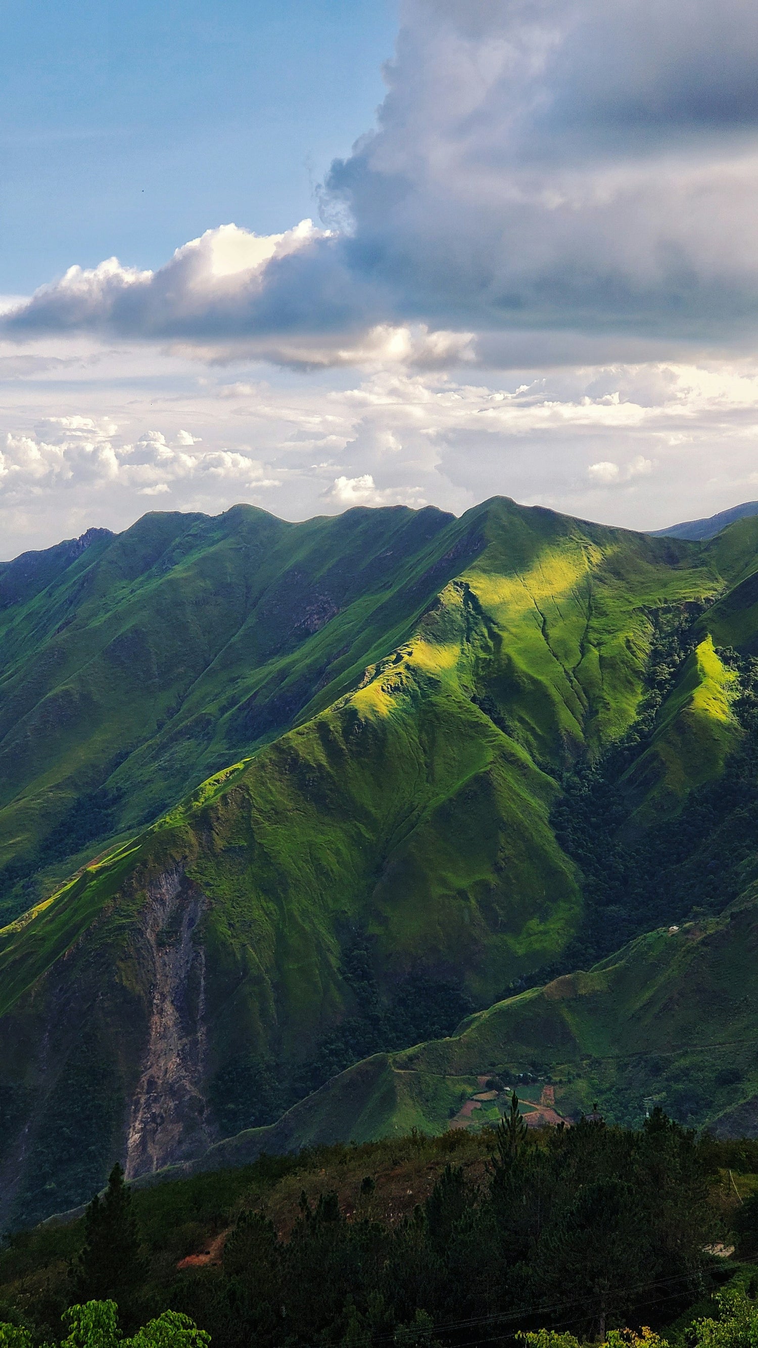 A scenic landscape photograph of lush green mountains in Venezuela under a blue sky with dramatic white and grey clouds.