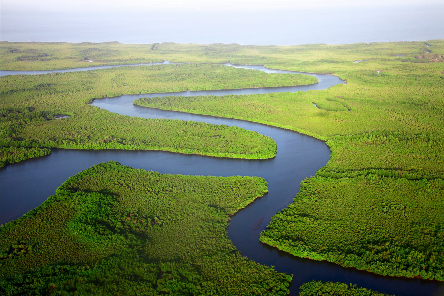 Aerial view of a winding dark river in The Gambia cutting through bright green marshland and forested terrain under a pale sky.