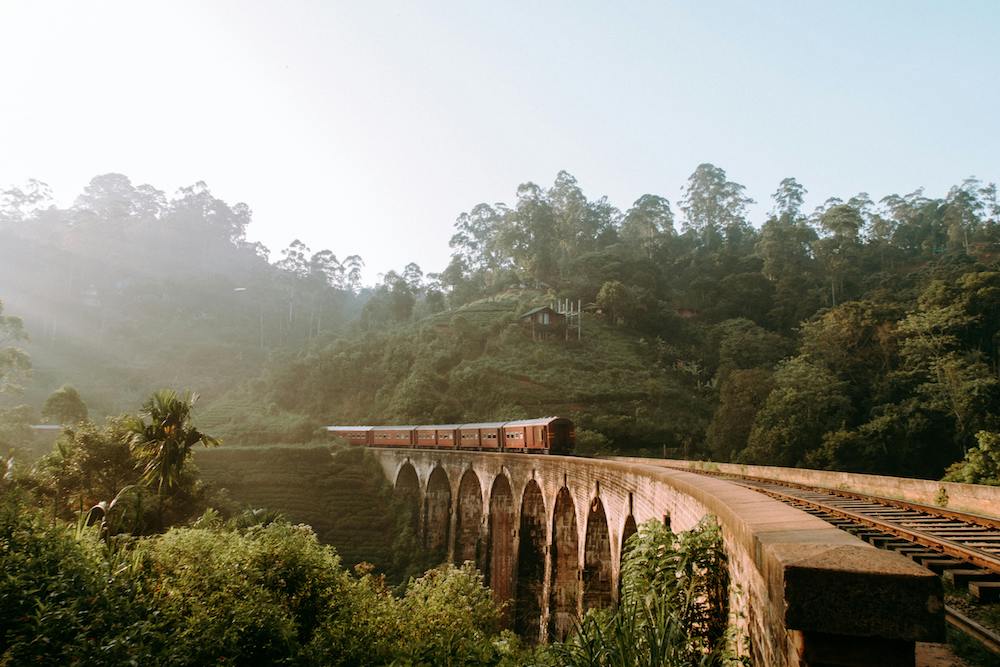 A train journey through green countryside in Sri Lanka.